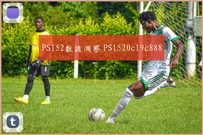 PS152数据洞察 PS1520c19c888
